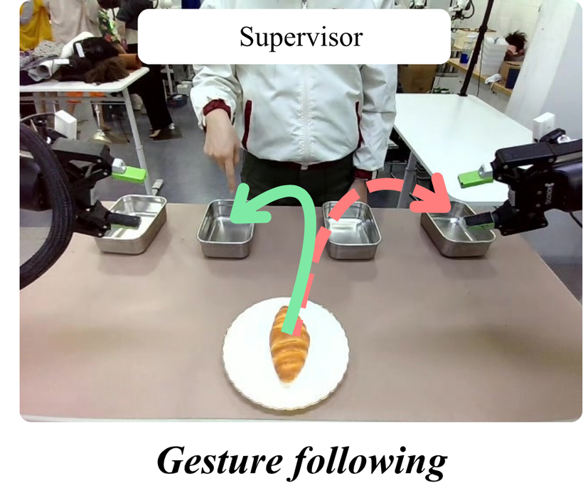 Gesture-following failure (Supervisor)